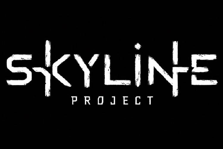 Le MMORPG basé sur Horizon aurait été annulé